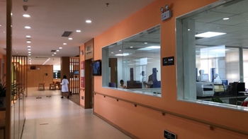 广东海外建设咨询 以技术驱动，点亮“一带一路”工程新篇章